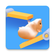 携宠出游成新时尚 商家如何接招